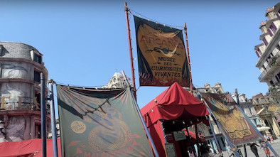 A Once and Done Show