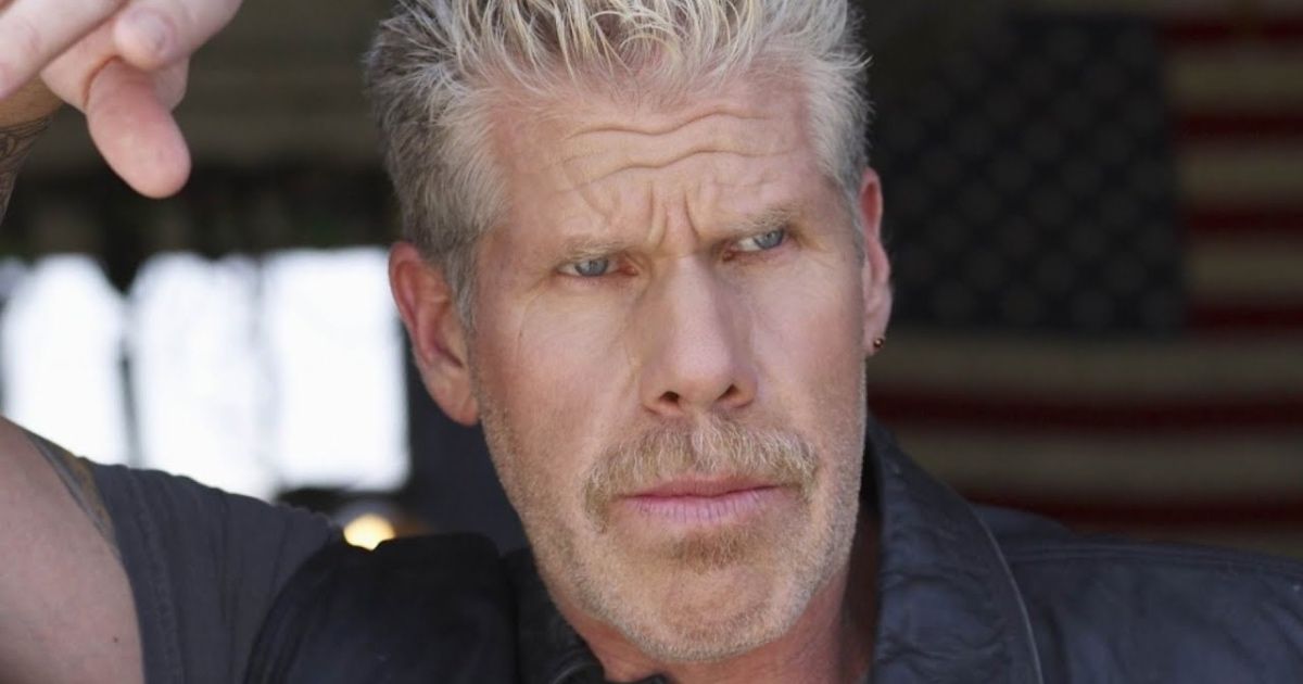 Ron Perlman Addresses Potentially Joining the MCU or DCU