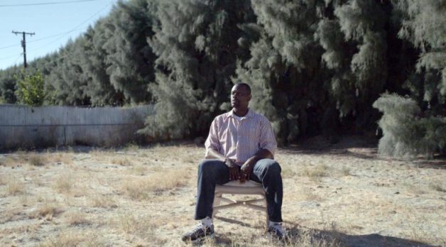 “Being an Outsider to Palm Springs Was an Asset”: Sara Newens, Mina T. Son and Courtney Parker on Racist Trees