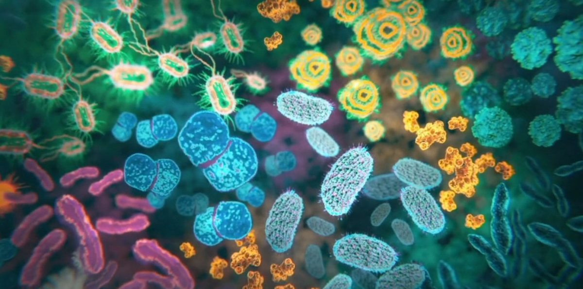 The Invisible Extinction | Film Threat