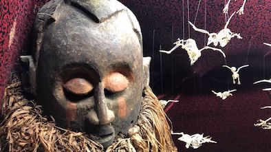 The World’s Weirdest Museum? Viktor Wynd’s in London