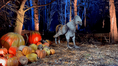 Harry Potter Forbidden Forest Experience Northwich Review